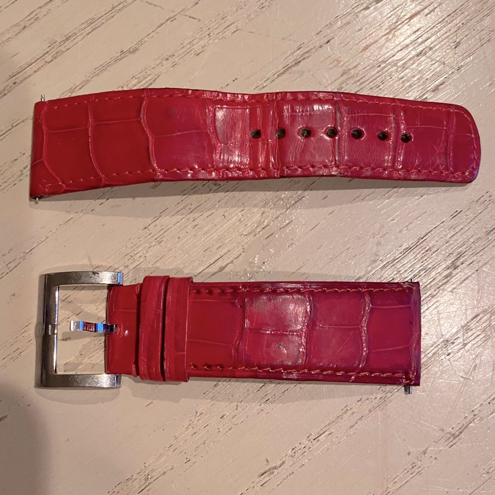 Michele Alligator Band